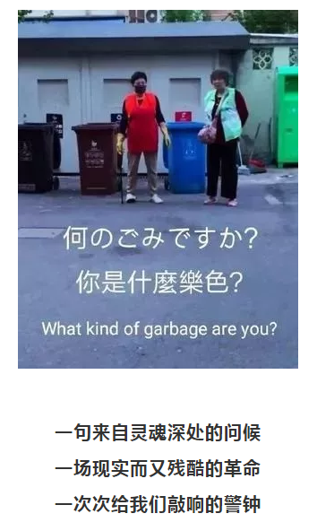 你被“垃圾分類”洗腦了嗎？揭秘強(qiáng)制分類背后的驚天秘密！-