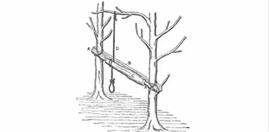 機床的祖先是誰，看完后驚呆了！-