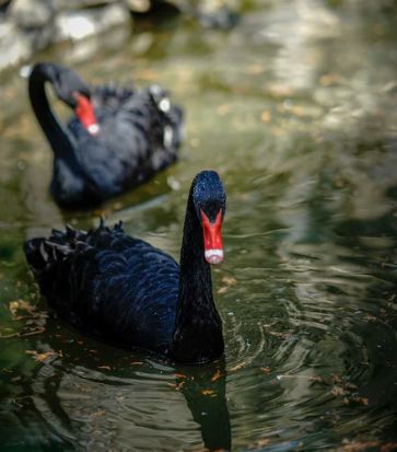 被評為“上海名牌”產(chǎn)品，這家企業(yè)究竟為民族閥門工業(yè)盡了多少力量？-