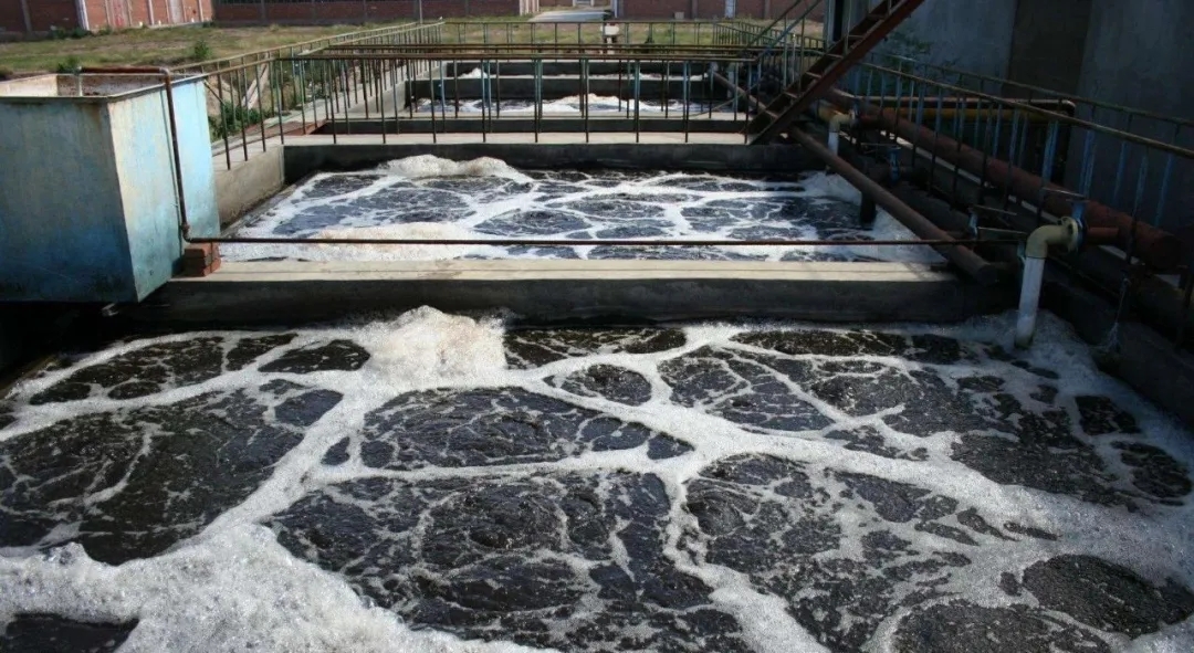 住建部：如何應對新冠病毒從馬桶到水環(huán)境的潛在傳輸途徑？