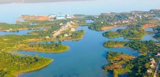 不斷加速的淘汰賽中，泵管閥“后浪們”為活下去而戰(zhàn)！