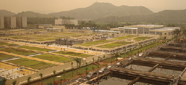 高溫對(duì)污水處理的影響及解決方案