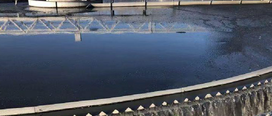 再生水利用率高達50%！看北控水務這座污水廠玩轉資源化