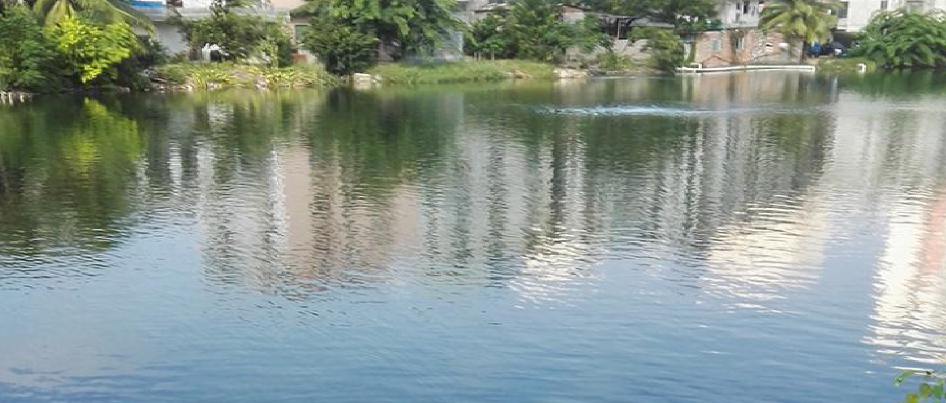 2023黑臭水體整治新動作不斷！問題到底怎么破？