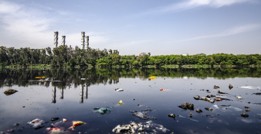 黑龍江省2024年農(nóng)村生活污水、黑臭水體治理工作方案