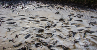 換季污泥膨脹，怎么辦？