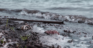 103條黑臭水體！江蘇2024年全省農(nóng)村環(huán)境整治工作計劃！